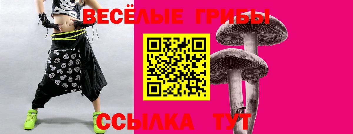 как найти закладки  Вход с VPN  Сосновоборск  Галлюциногенные грибы GOLDEN TEACHER  Галлюциногенные грибы Psilocybe 